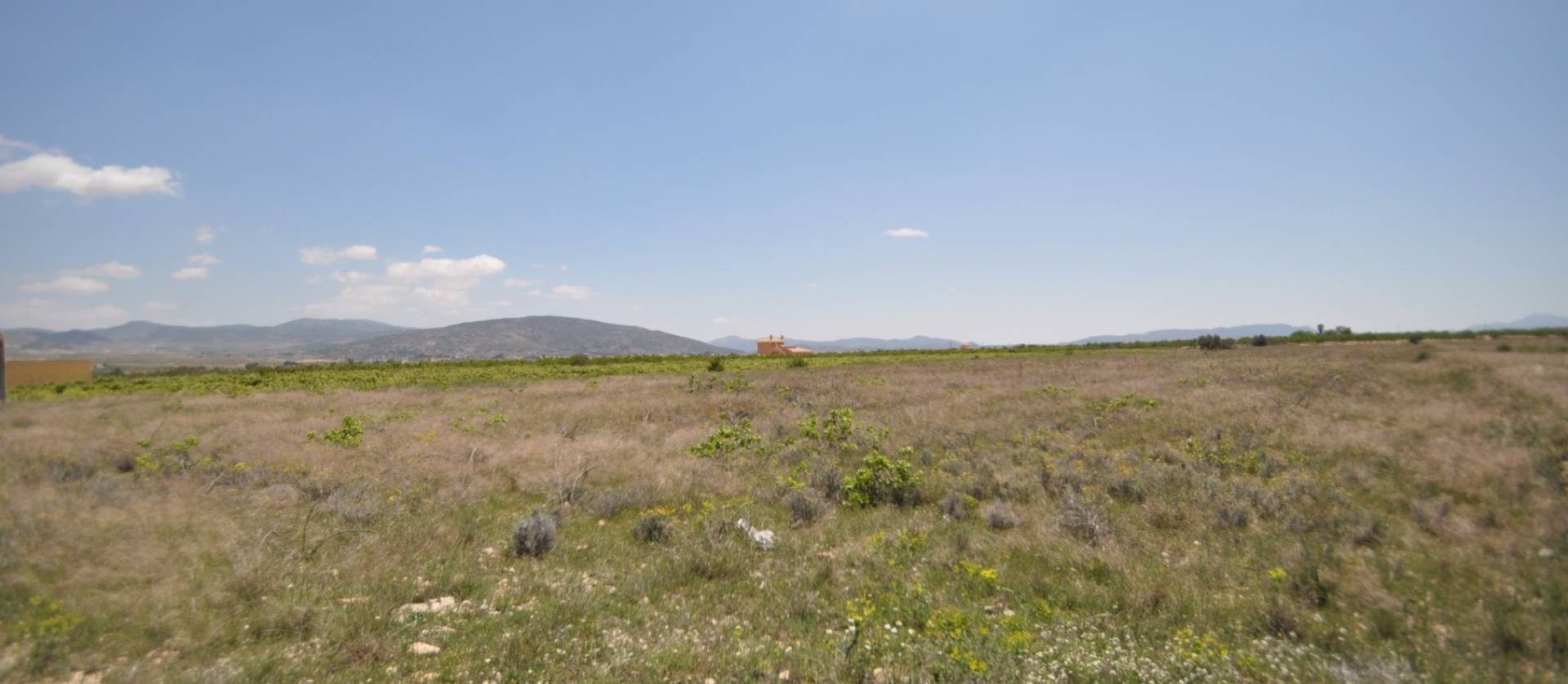 Venta - Land - Pinoso