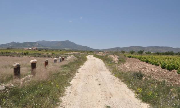 Venta - Land - Pinoso