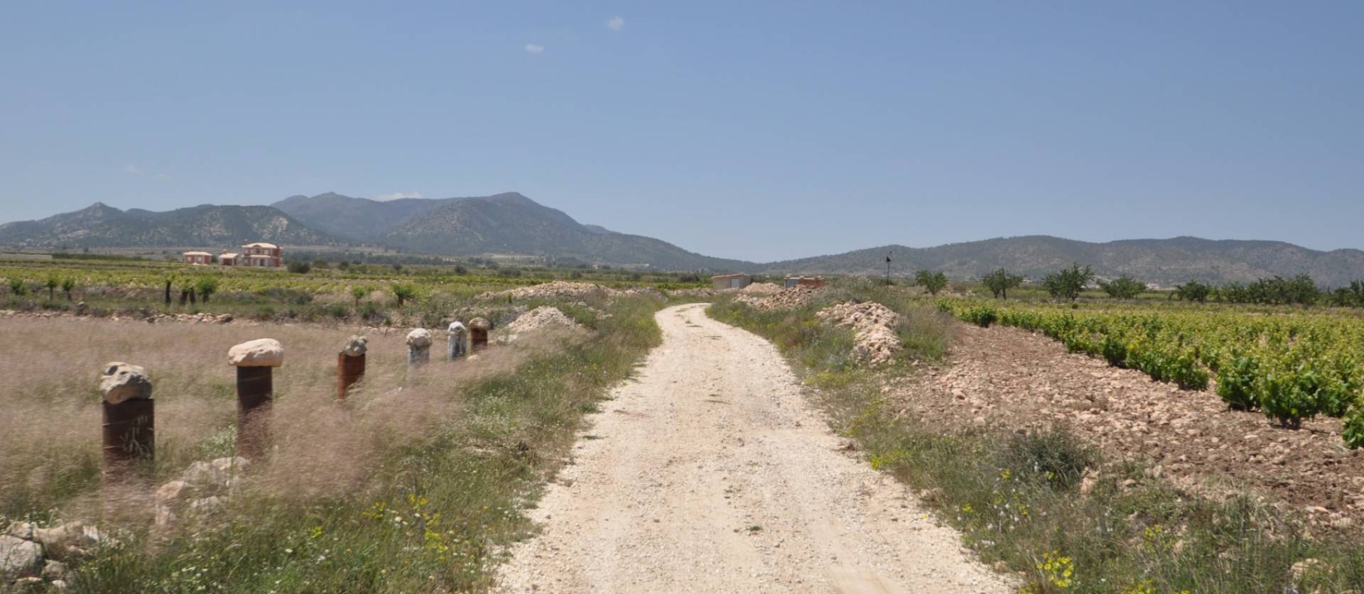 Venta - Land - Pinoso