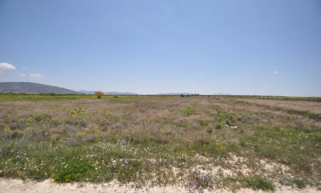 Venta - Land - Pinoso