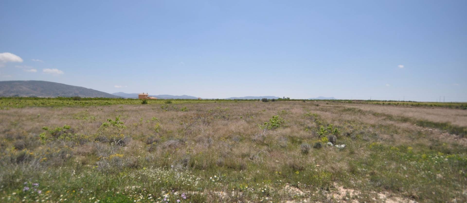 Venta - Land - Pinoso