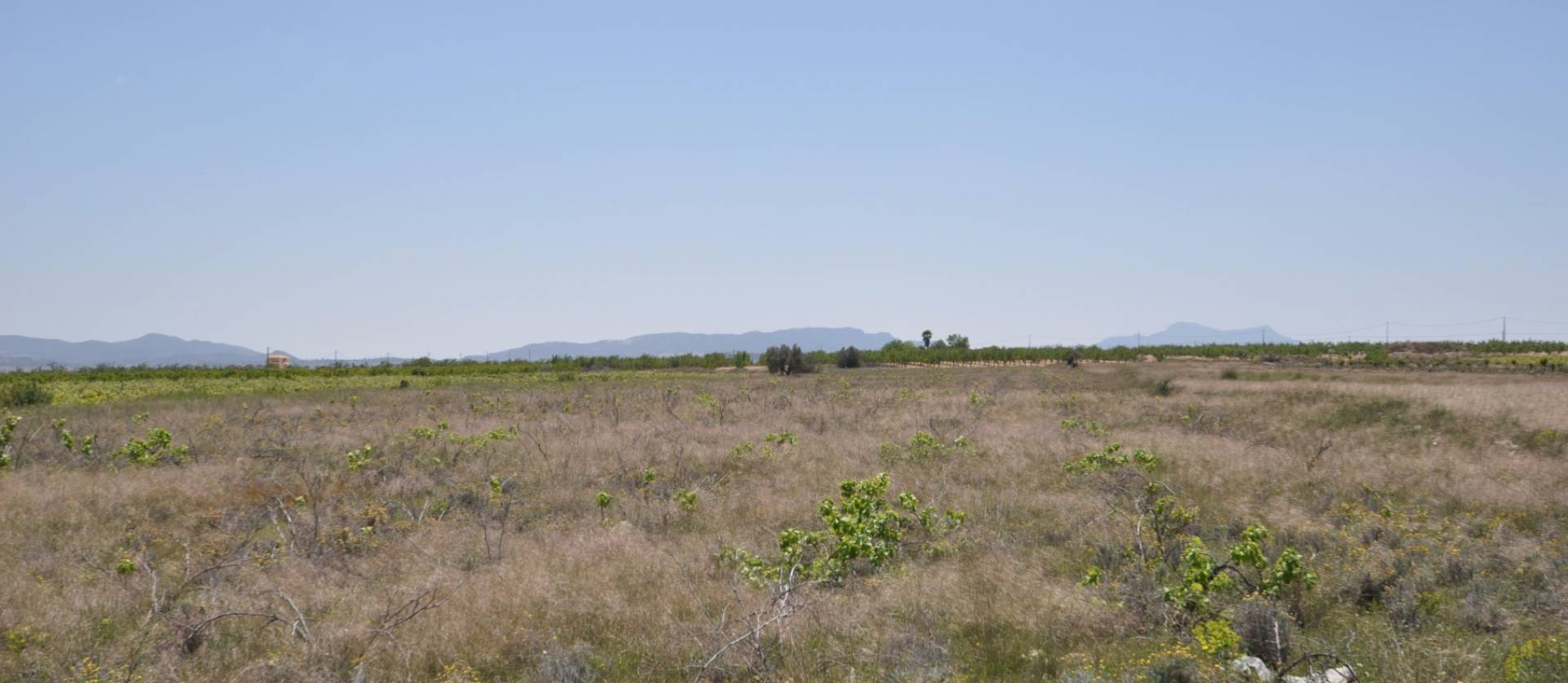 Venta - Land - Pinoso