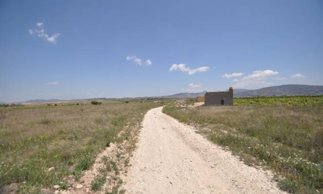 Venta - Land - Pinoso