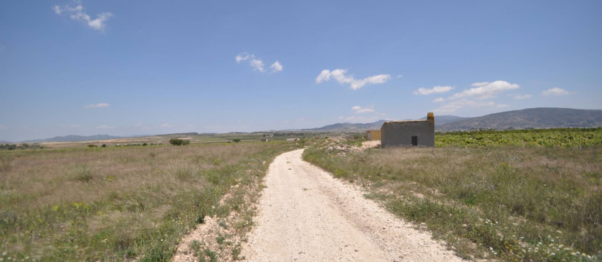 Venta - Land - Pinoso