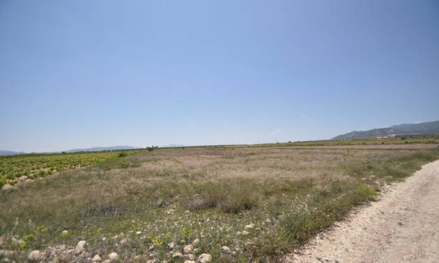 Venta - Land - Pinoso