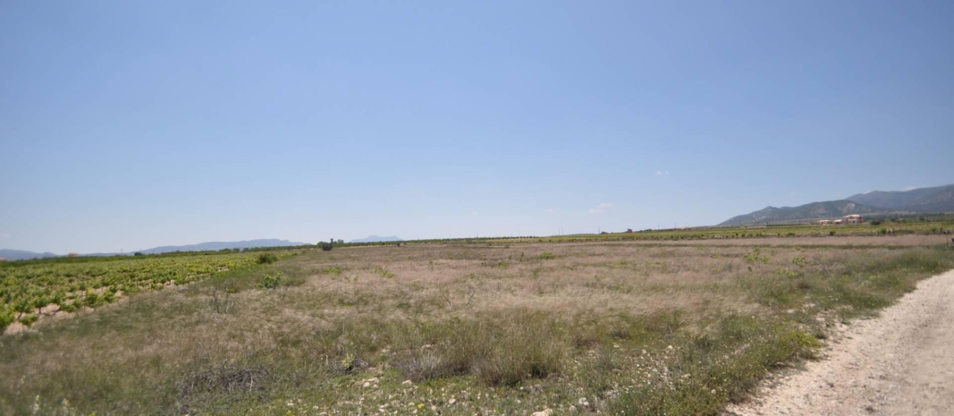 Venta - Land - Pinoso