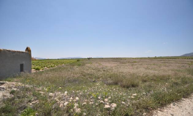 Venta - Land - Pinoso