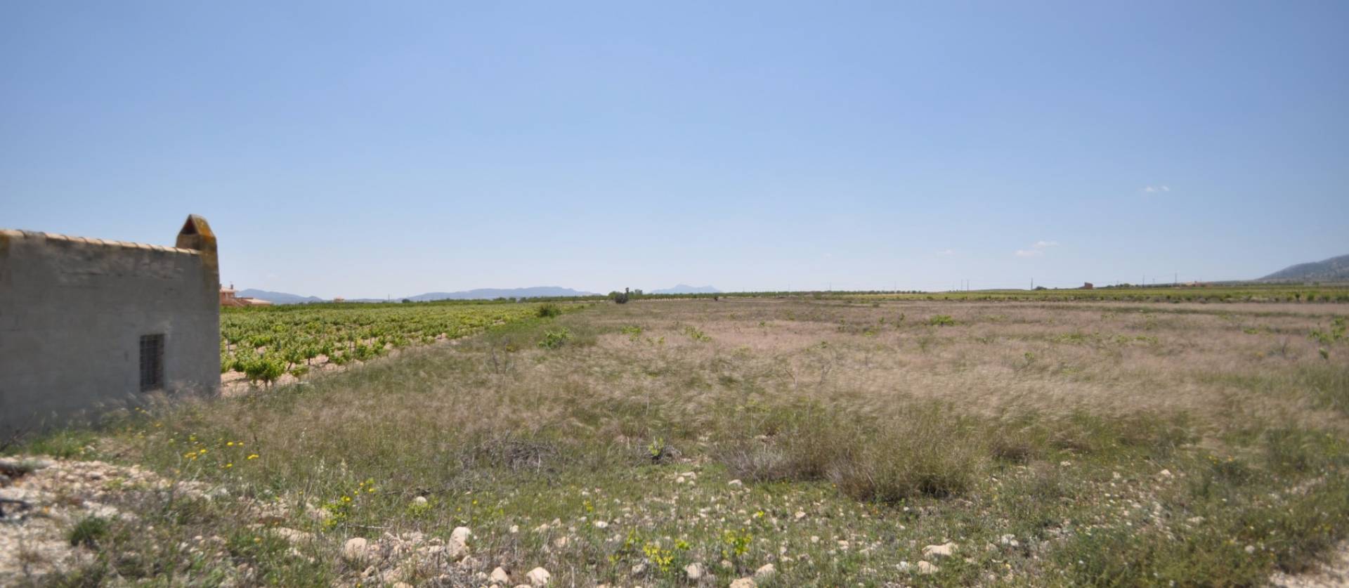 Venta - Land - Pinoso