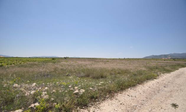 Venta - Land - Pinoso