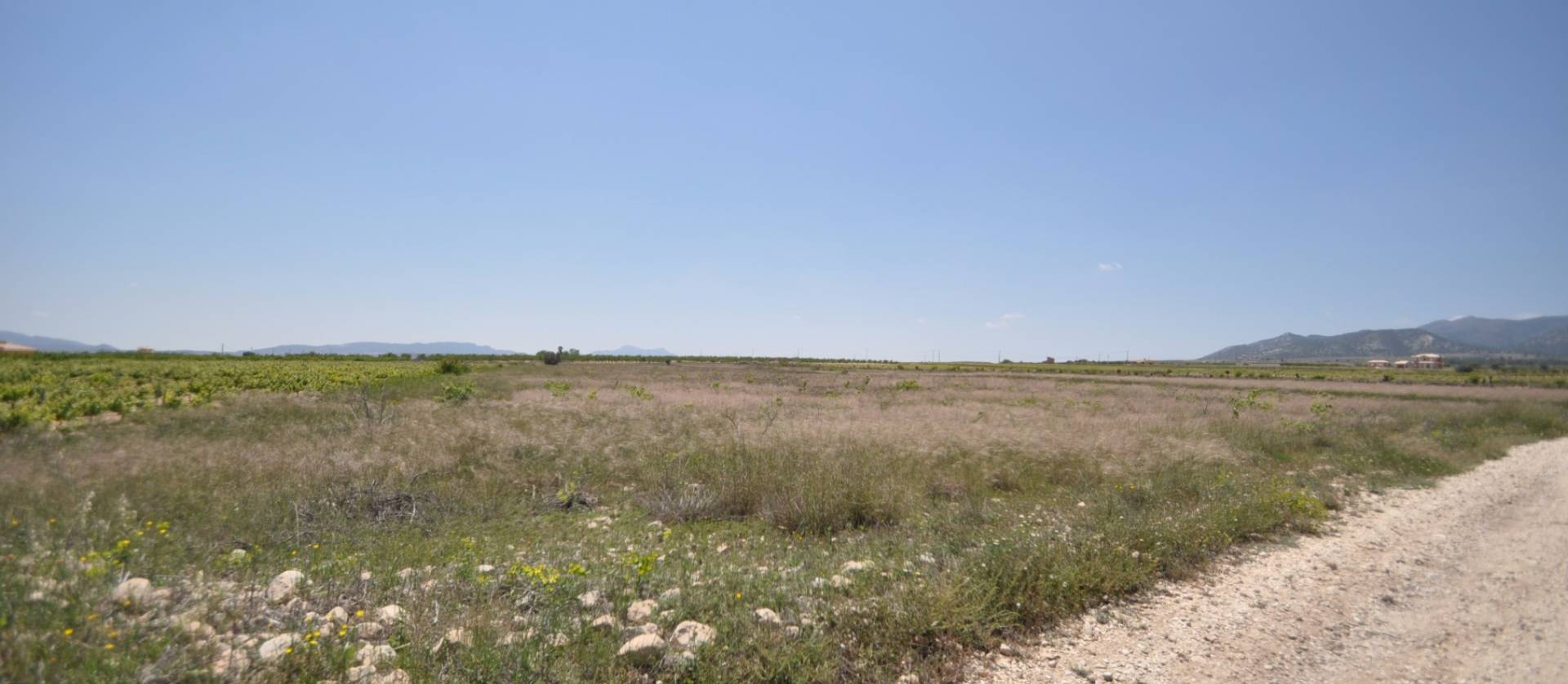 Venta - Land - Pinoso