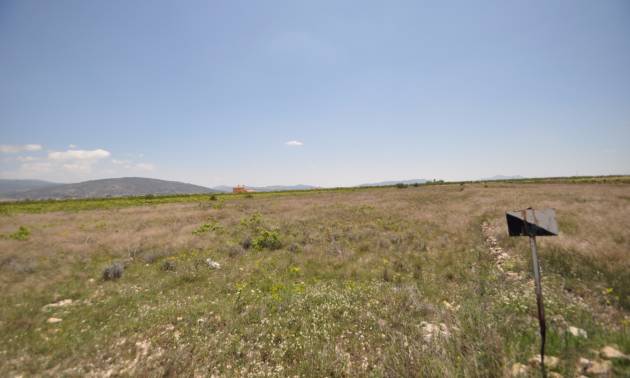 Venta - Land - Pinoso