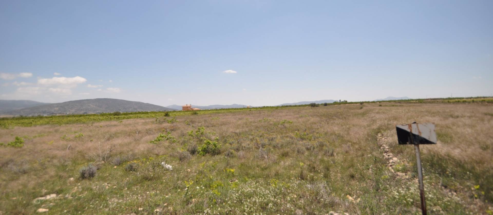 Venta - Land - Pinoso