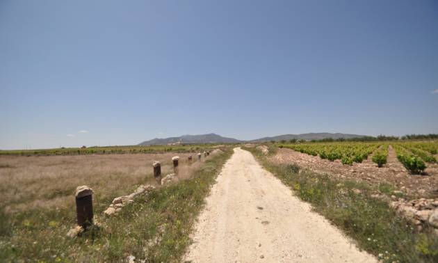 Venta - Land - Pinoso