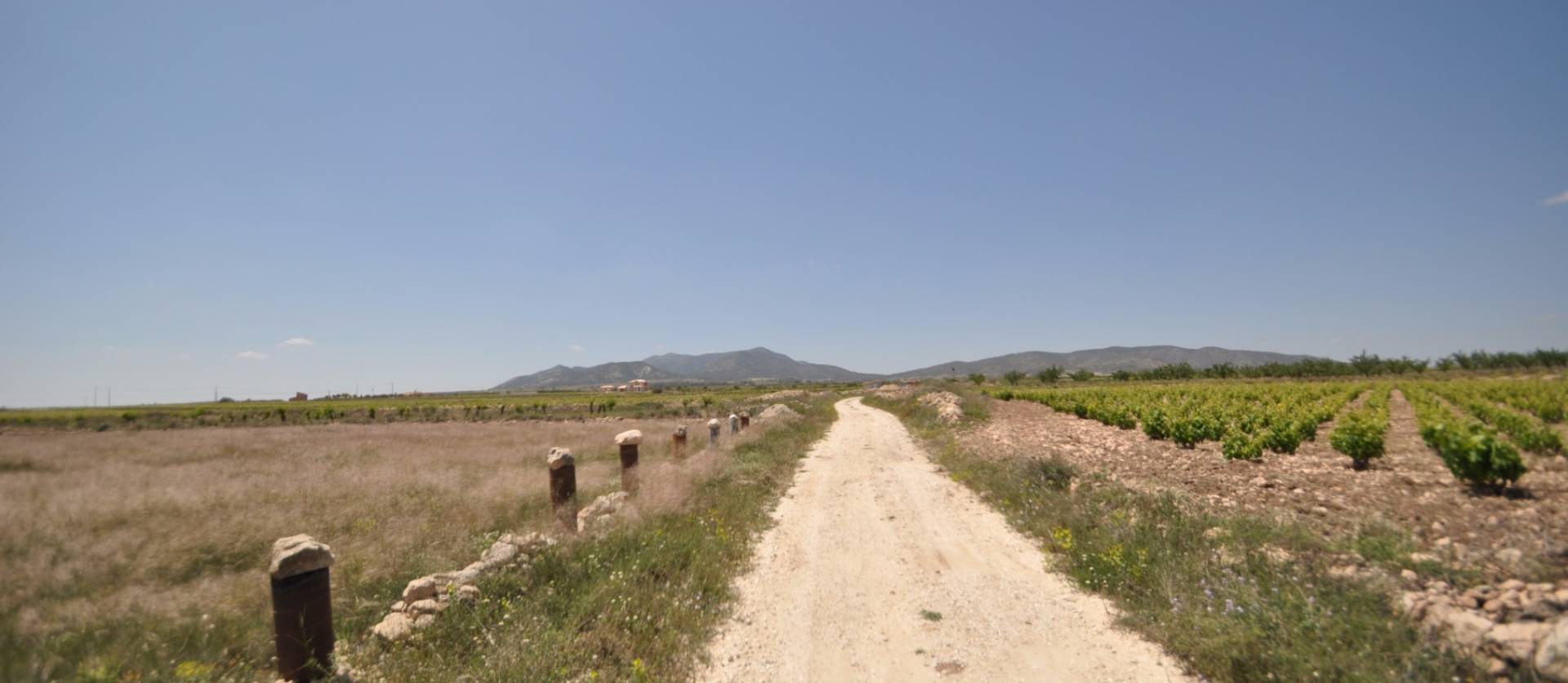 Venta - Land - Pinoso