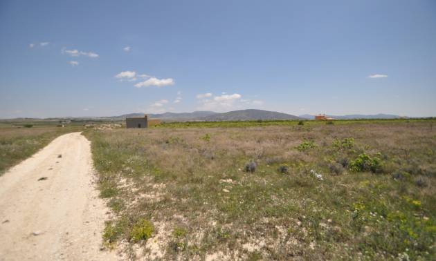 Venta - Land - Pinoso