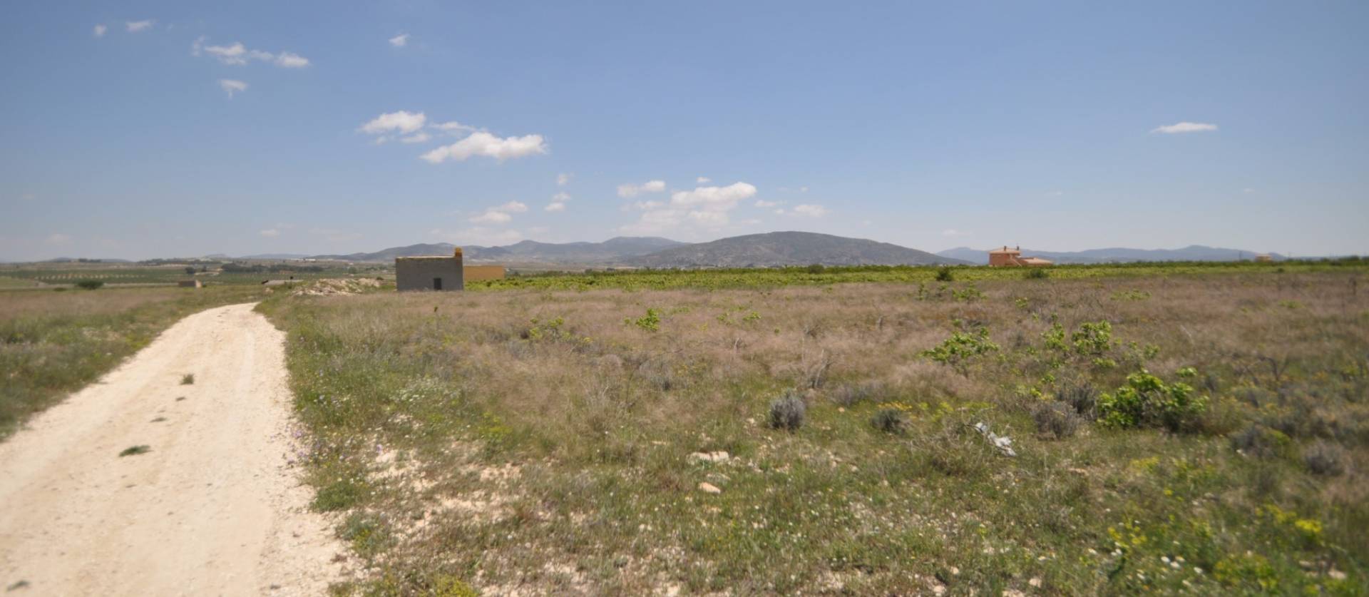 Venta - Land - Pinoso