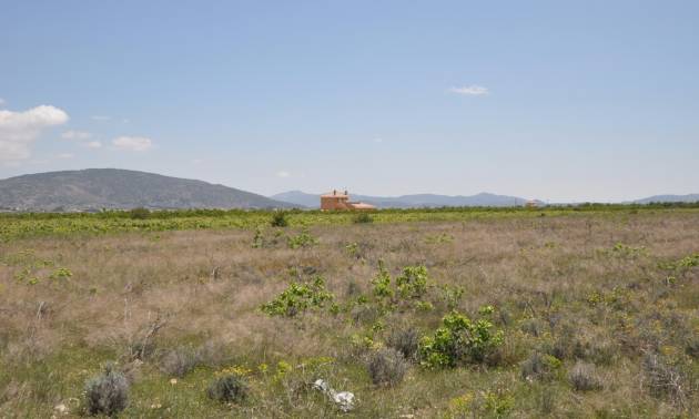 Venta - Land - Pinoso