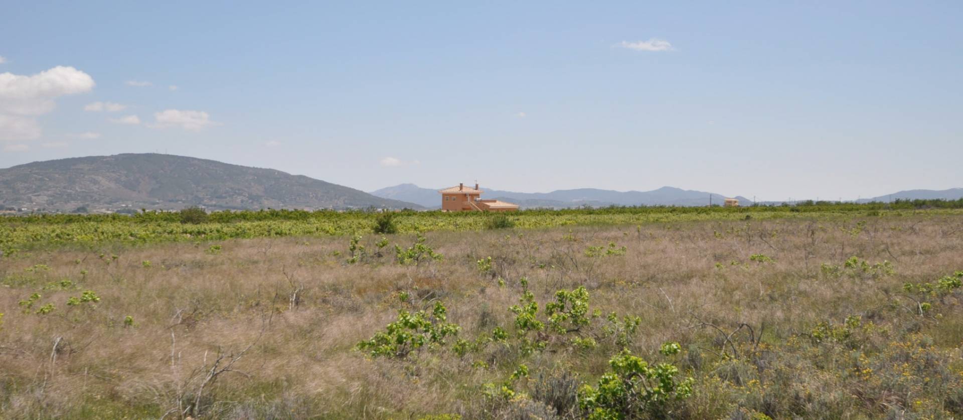 Venta - Land - Pinoso