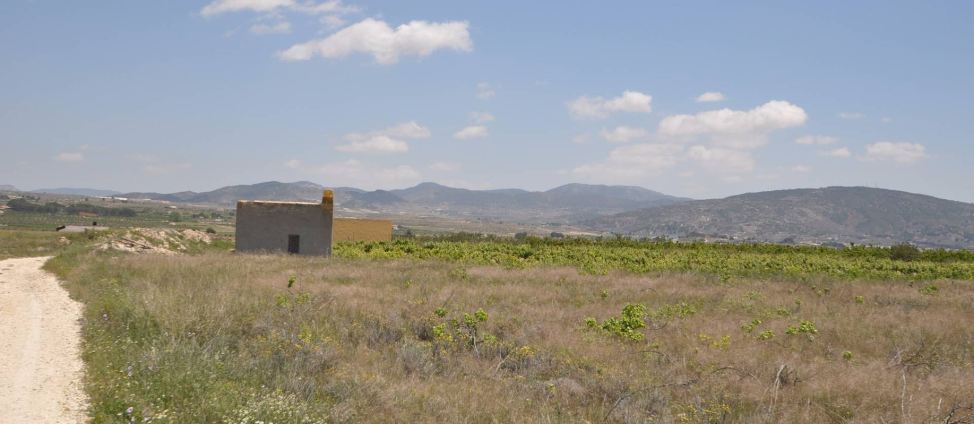 Venta - Land - Pinoso