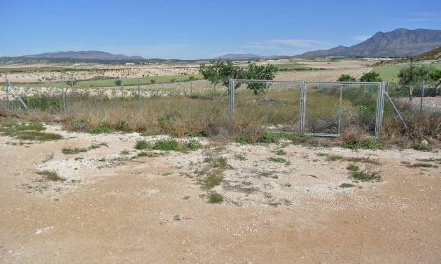Sale - Country House - Jumilla