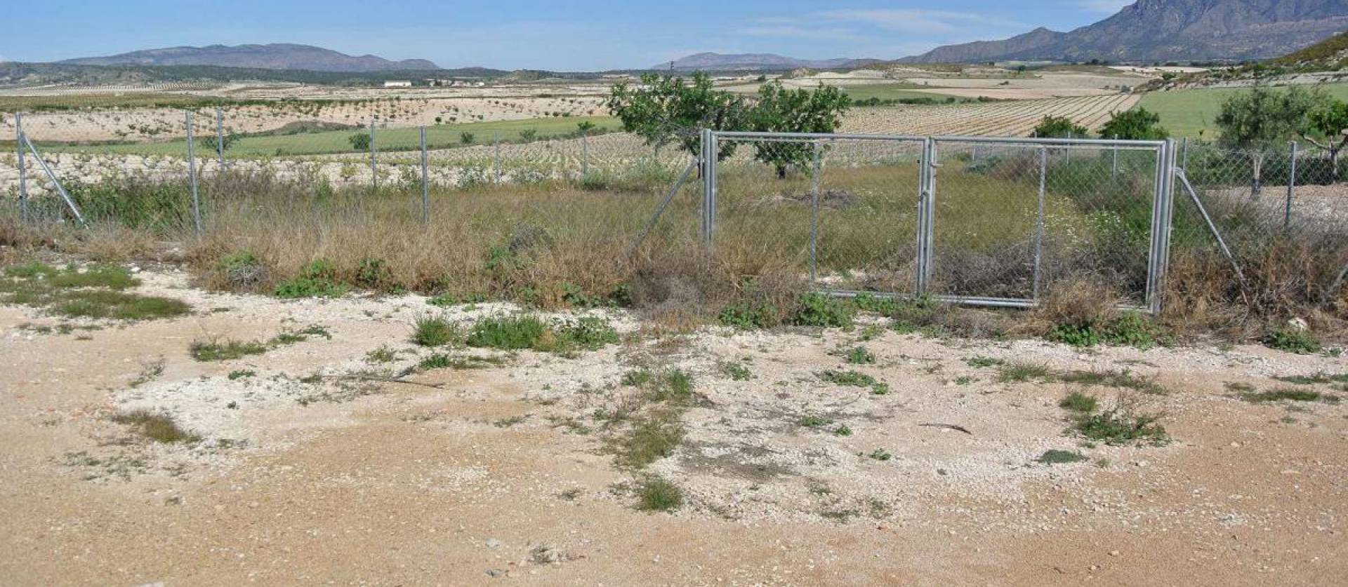 Sale - Country House - Jumilla