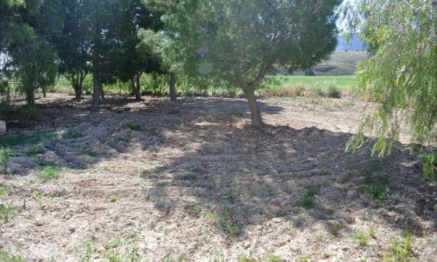Sale - Country House - Jumilla