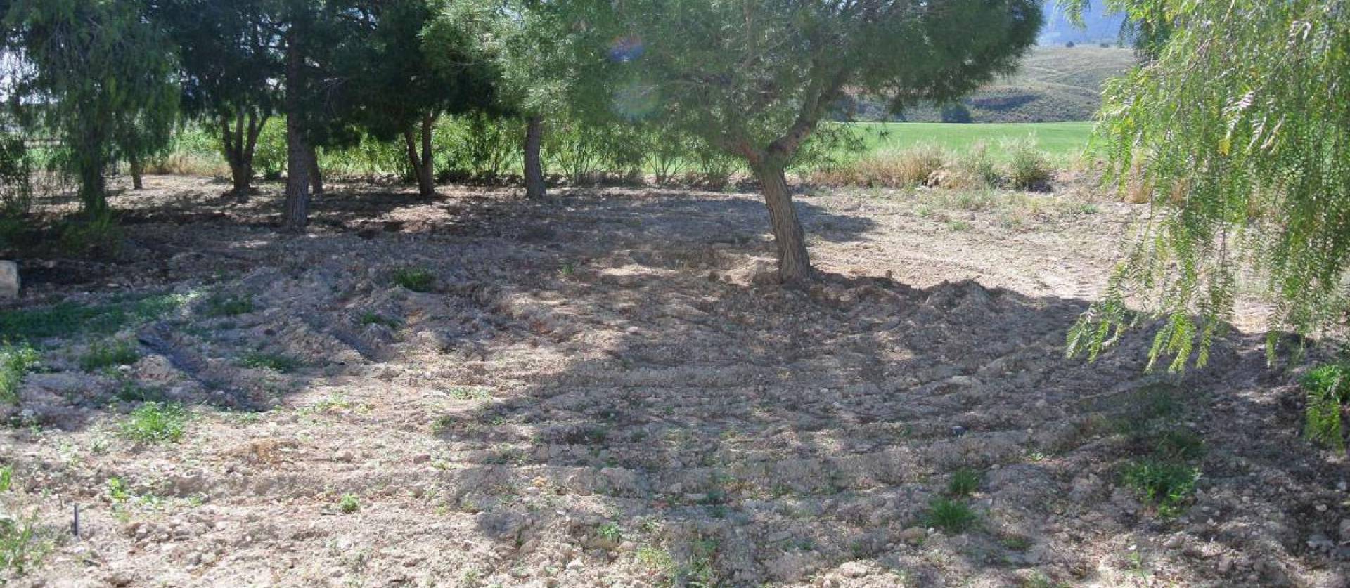Sale - Country House - Jumilla