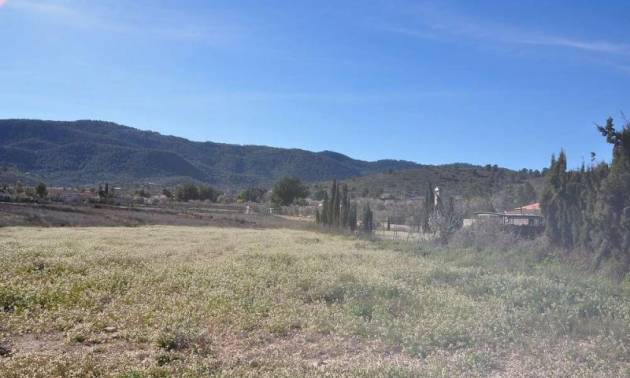 Sale - Land - Chinorlet