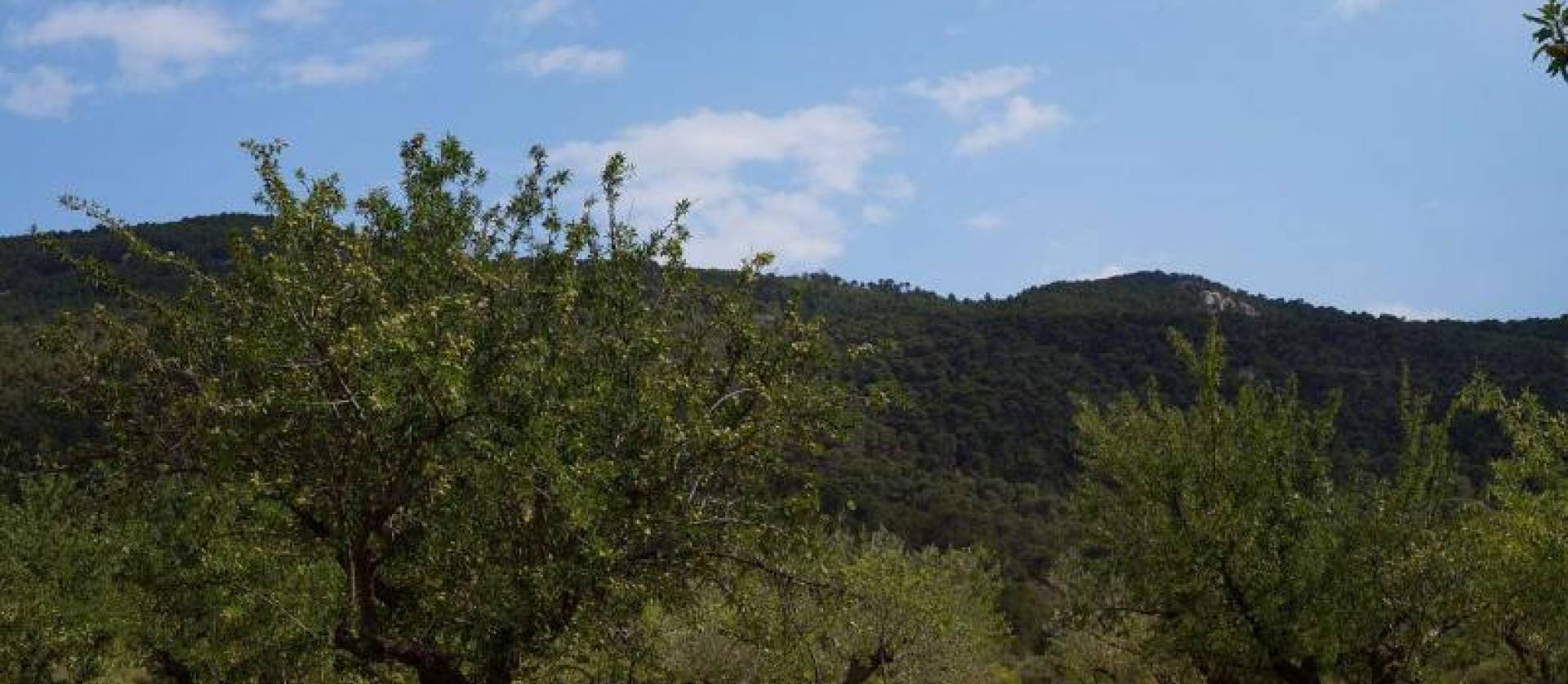 Bestaande woningen - Land - Yecla