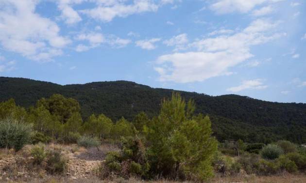 Bestaande woningen - Land - Yecla