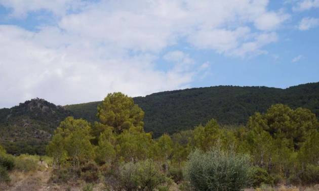 Bestaande woningen - Land - Yecla