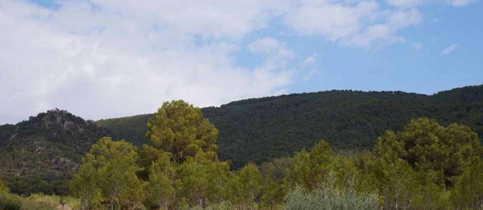 Bestaande woningen - Land - Yecla