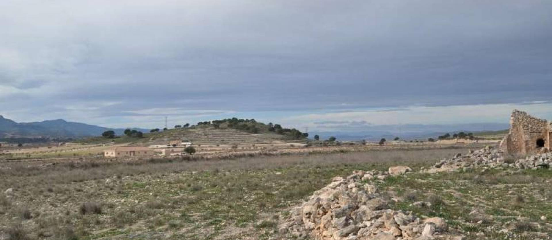 Venta -  - Torre del Rico