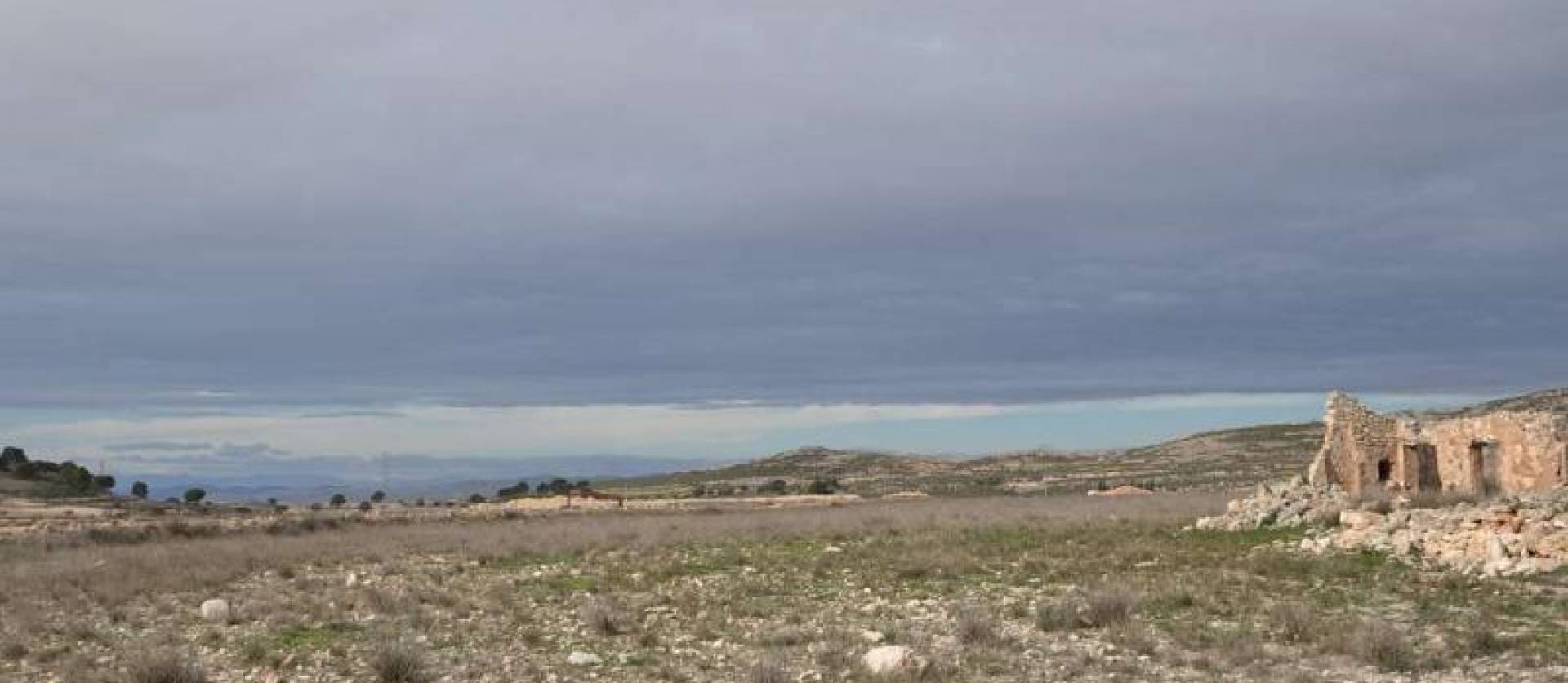 Venta -  - Torre del Rico