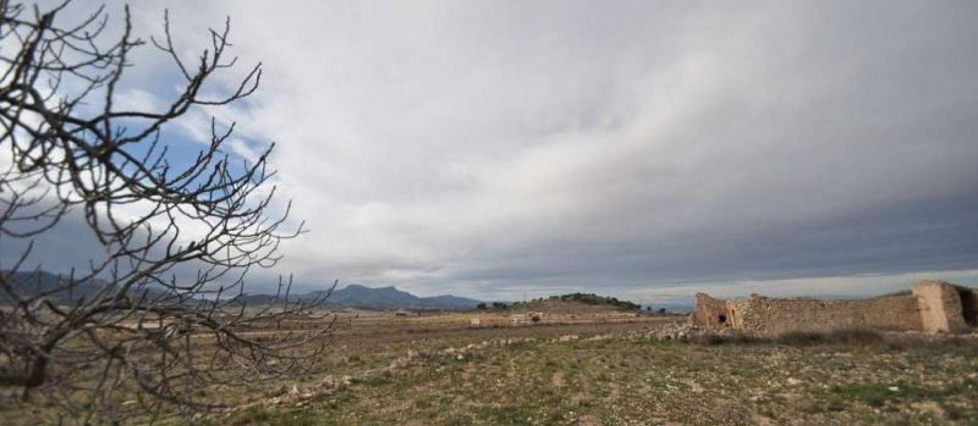 Venta -  - Torre del Rico