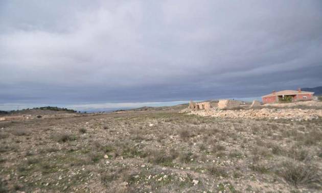 Venta -  - Torre del Rico