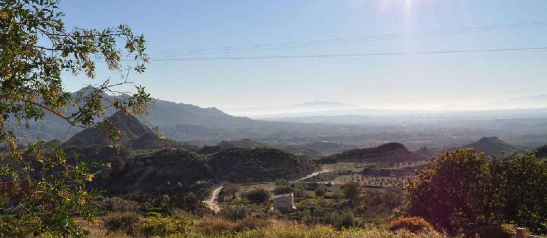 Sale -  - Macisvenda