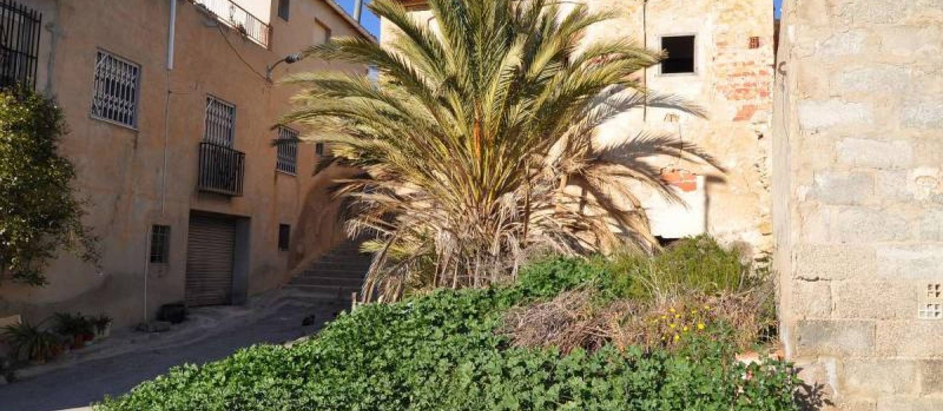 Sale -  - Macisvenda