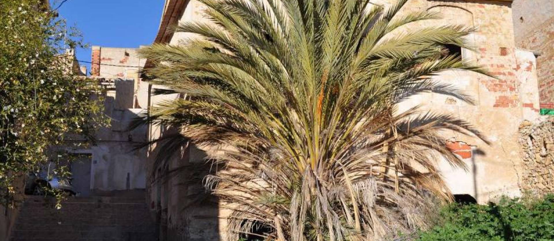 Sale -  - Macisvenda