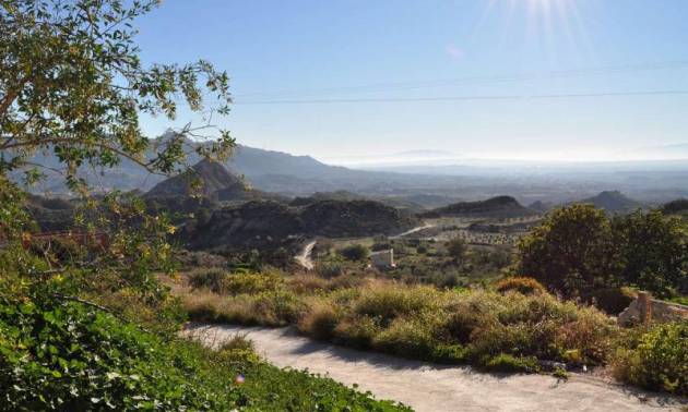 Sale -  - Macisvenda