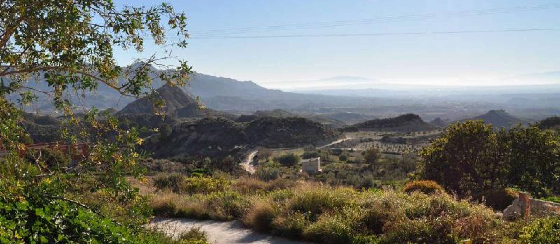 Sale -  - Macisvenda