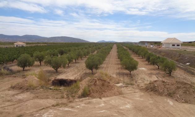 Sale - Villa - Pinoso