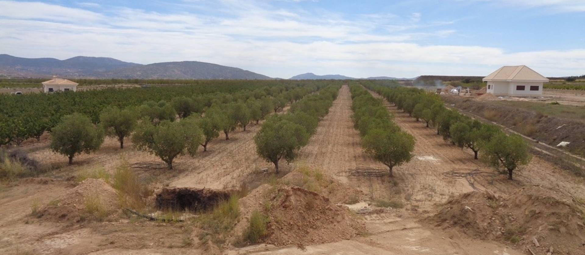 Sale - Villa - Pinoso