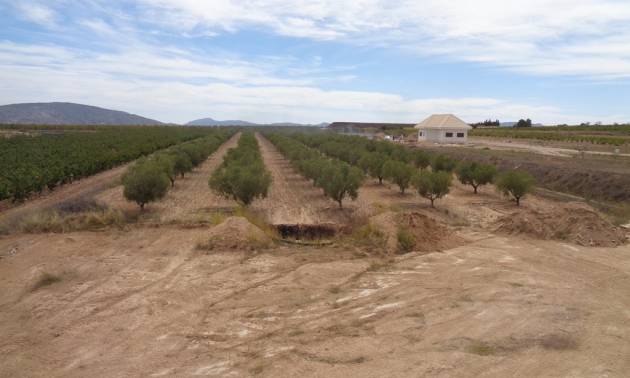 Sale - Villa - Pinoso