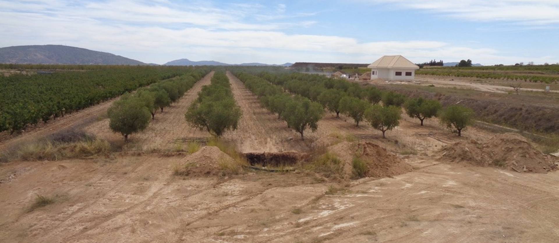 Sale - Villa - Pinoso