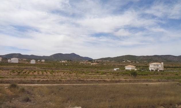 Sale - Villa - Pinoso