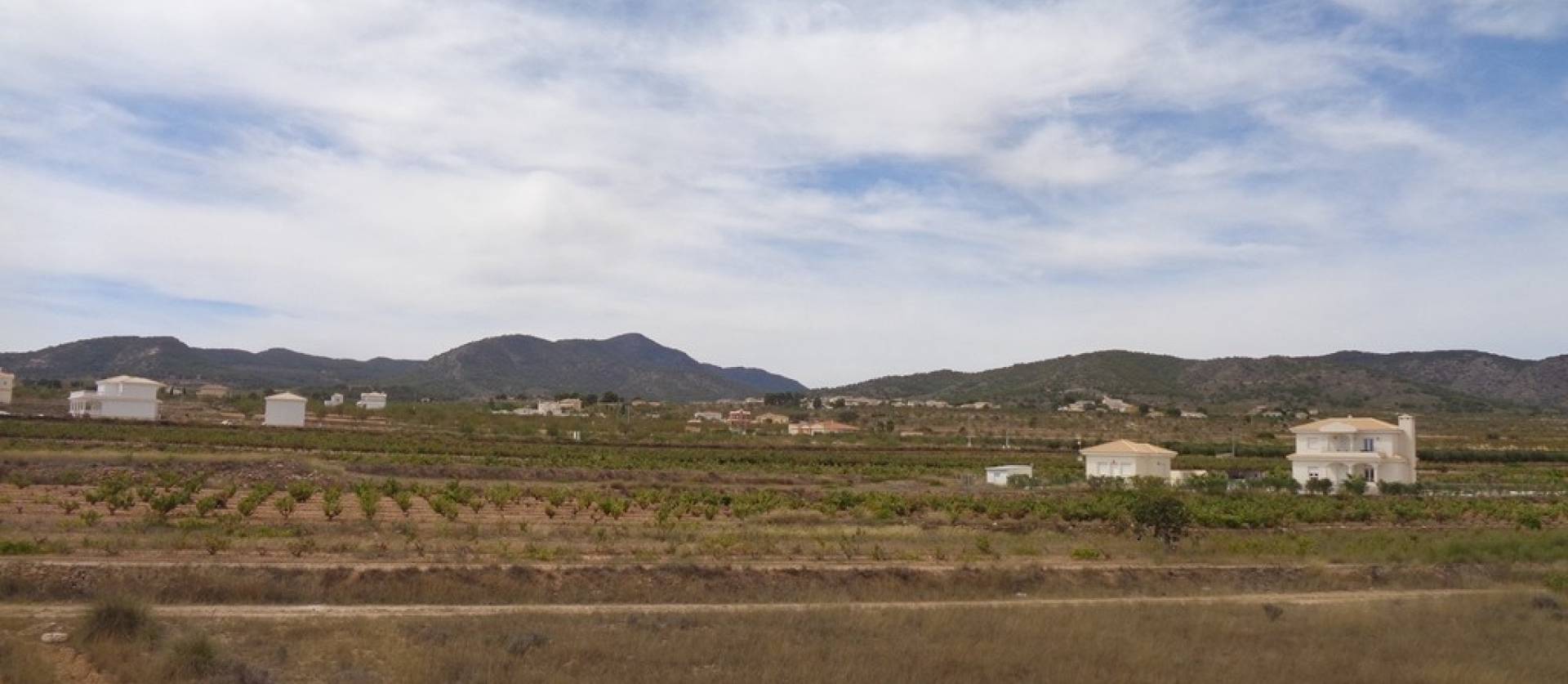 Sale - Villa - Pinoso