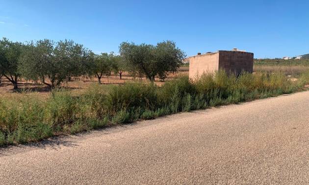 Sale - Villa - Pinoso