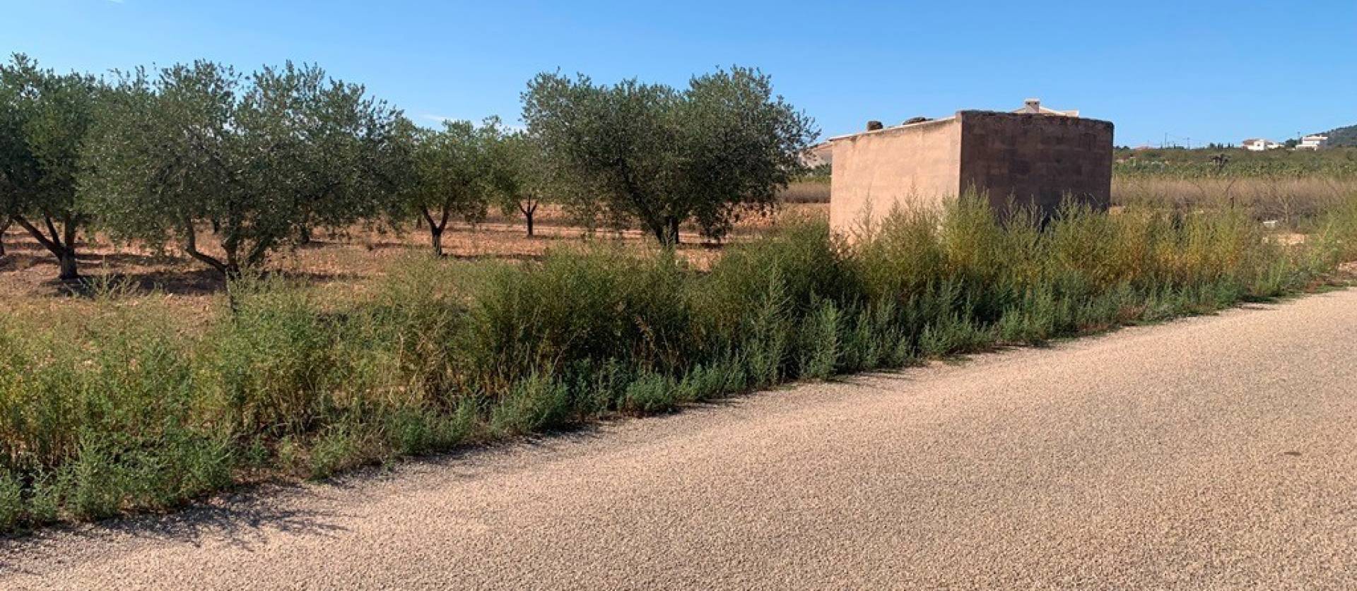 Sale - Villa - Pinoso