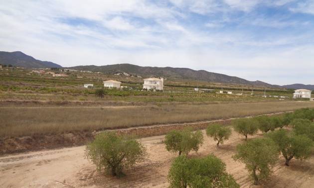 Sale - Villa - Pinoso